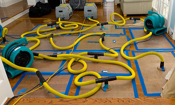 Professional Storm Water Damage Restoration technician working in Corning, IA